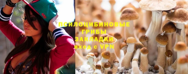 соль ск Киреевск