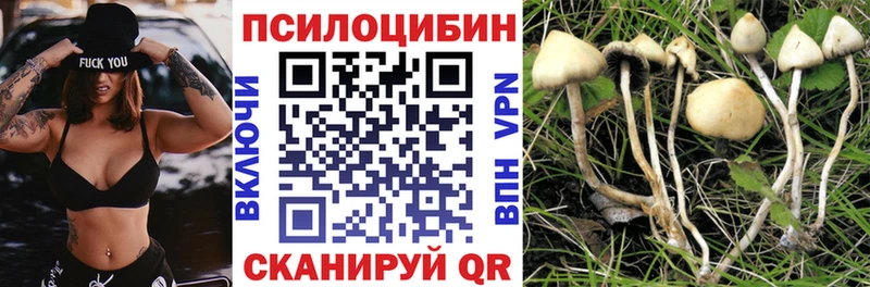 Псилоцибиновые грибы Psilocybe  Купить  Очёр 